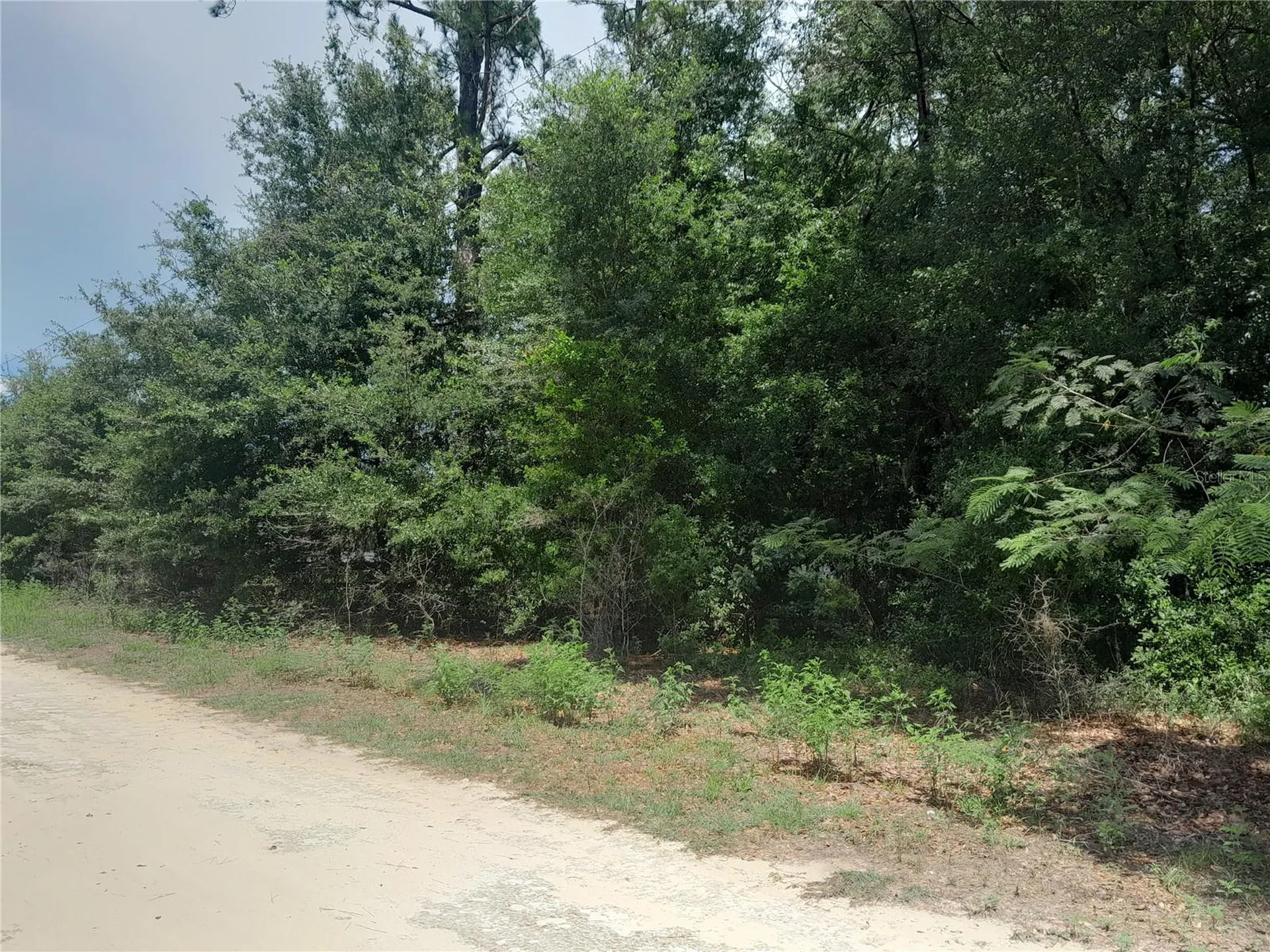 SE 108th Terrace Morriston FL 32668