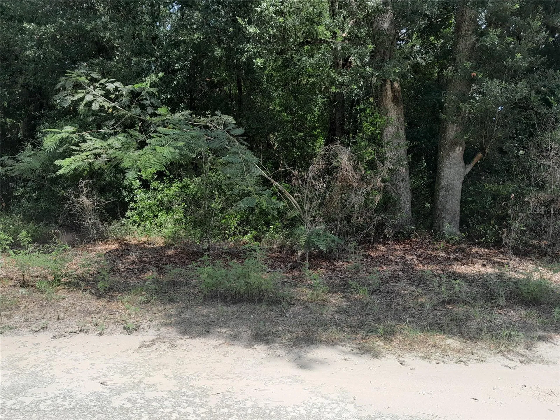 SE 108th Terrace Morriston FL 32668