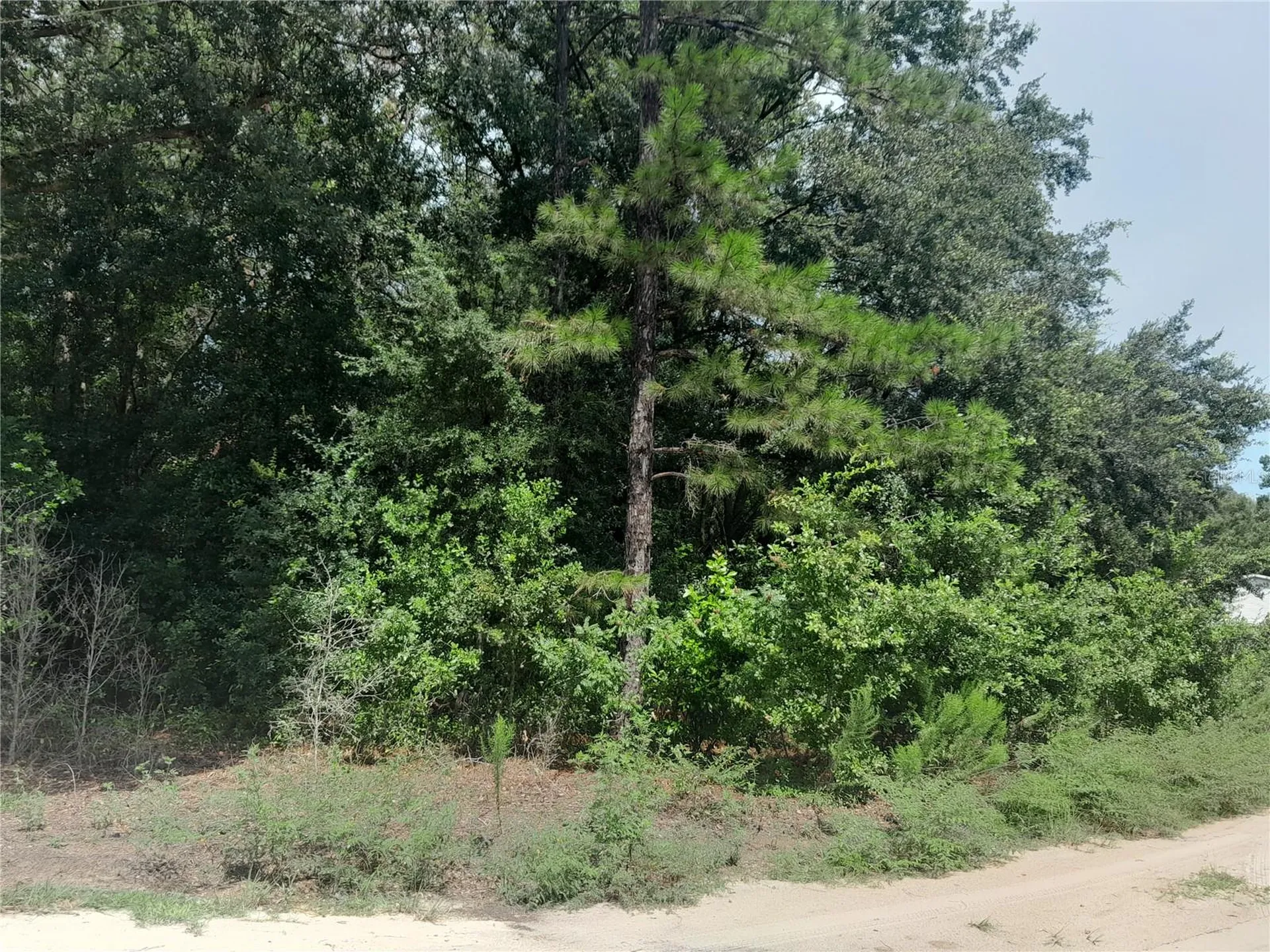SE 108th Terrace Morriston FL 32668