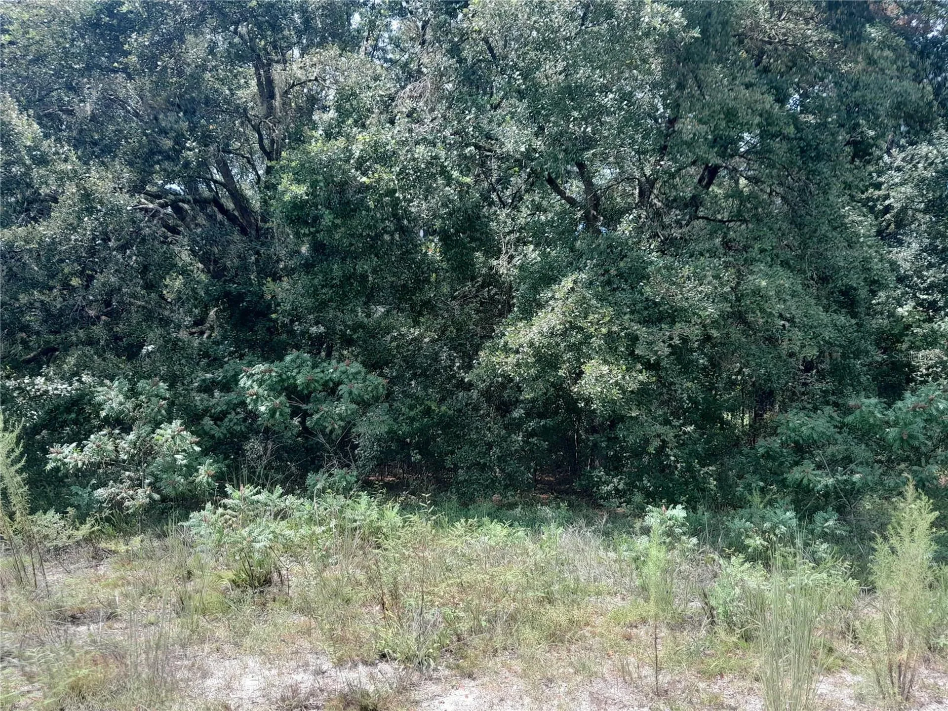 SE 108th Terrace Morriston FL 32668