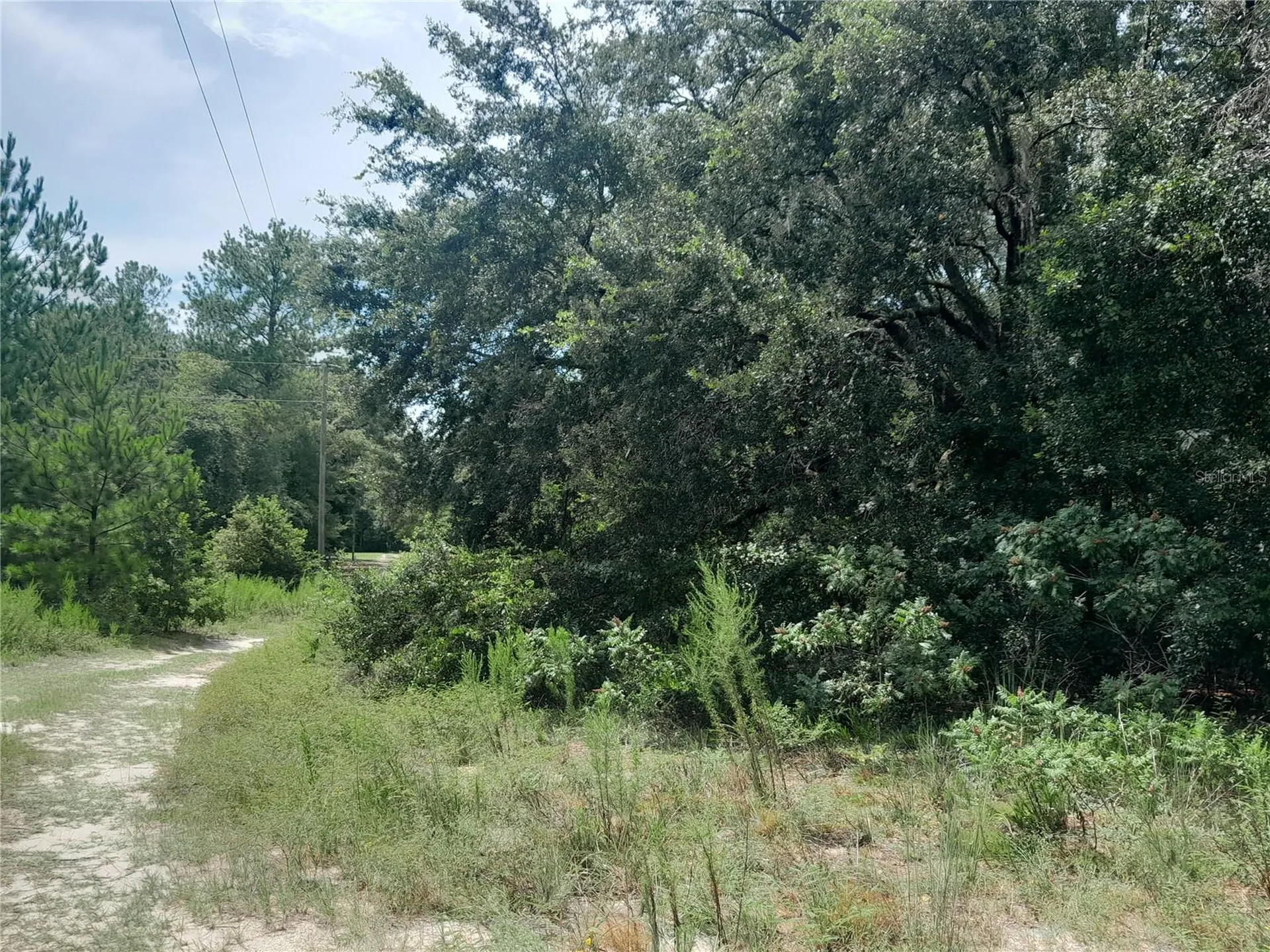 SE 108th Terrace Morriston FL 32668
