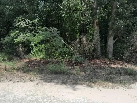 SE 108th Terrace Morriston FL 32668