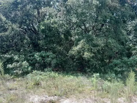 SE 108th Terrace Morriston FL 32668