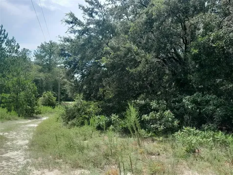 SE 108th Terrace Morriston FL 32668