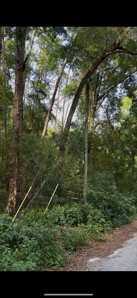 2339 SE Hawthorne Road Gainesville FL 32641