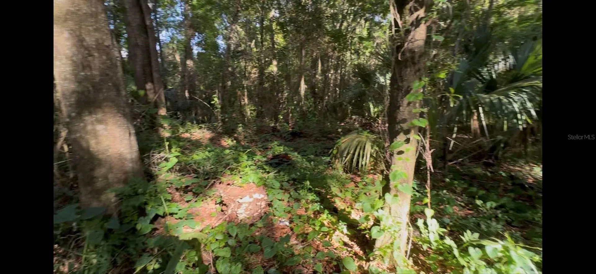2339 SE Hawthorne Road Gainesville FL 32641