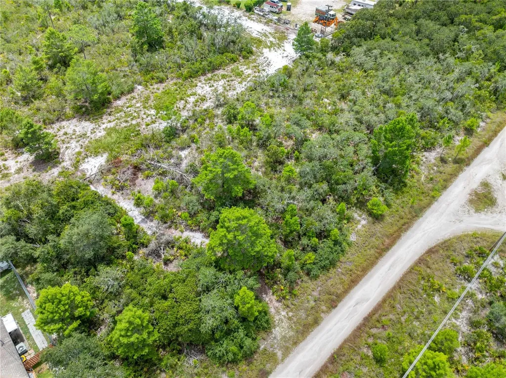 1524 Barn Owl Street Sebring FL 33870