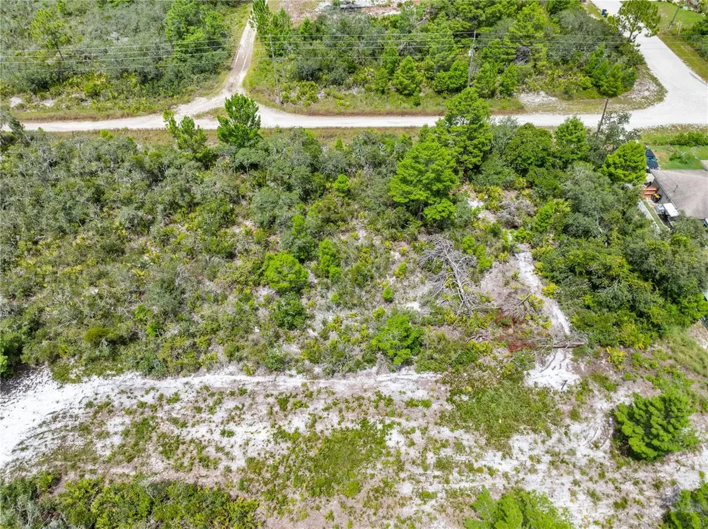 1524 Barn Owl Street Sebring FL 33870
