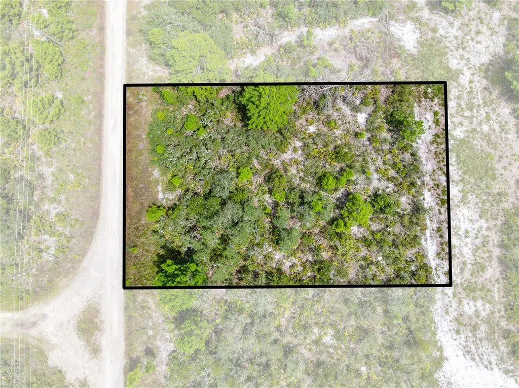 1524 Barn Owl Street Sebring FL 33870