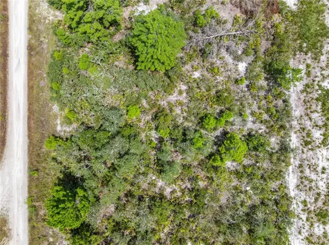 1524 Barn Owl Street Sebring FL 33870