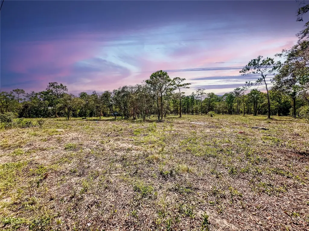 0 Sunshine Grove Road Brooksville FL 34613