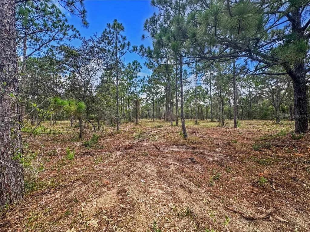 0 Sunshine Grove Road Brooksville FL 34613
