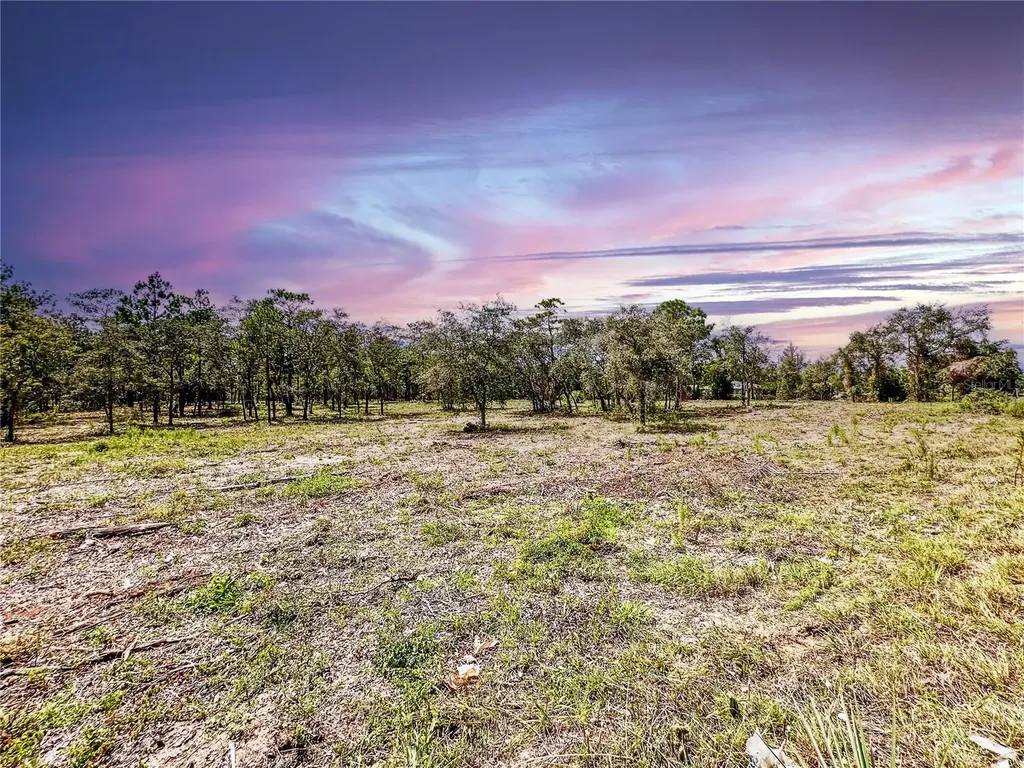 0 Sunshine Grove Road Brooksville FL 34613