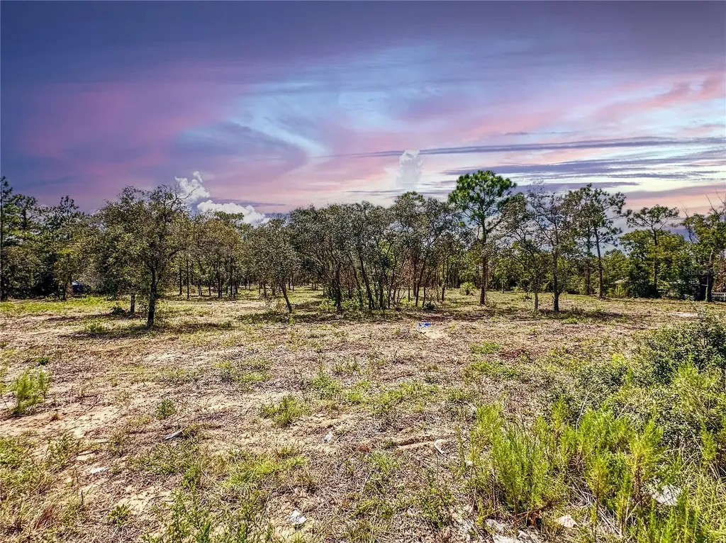 0 Sunshine Grove Road Brooksville FL 34613