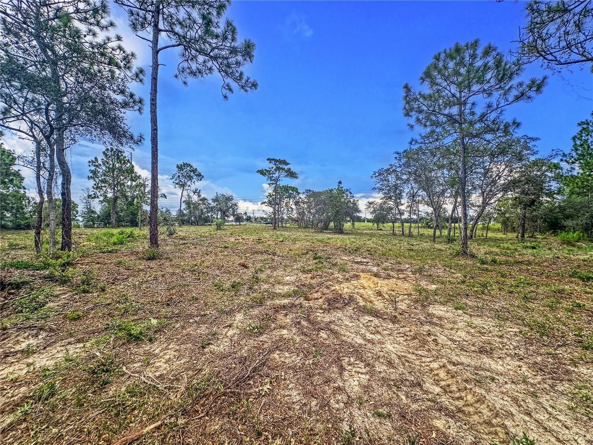 0 Sunshine Grove Road Brooksville FL 34613