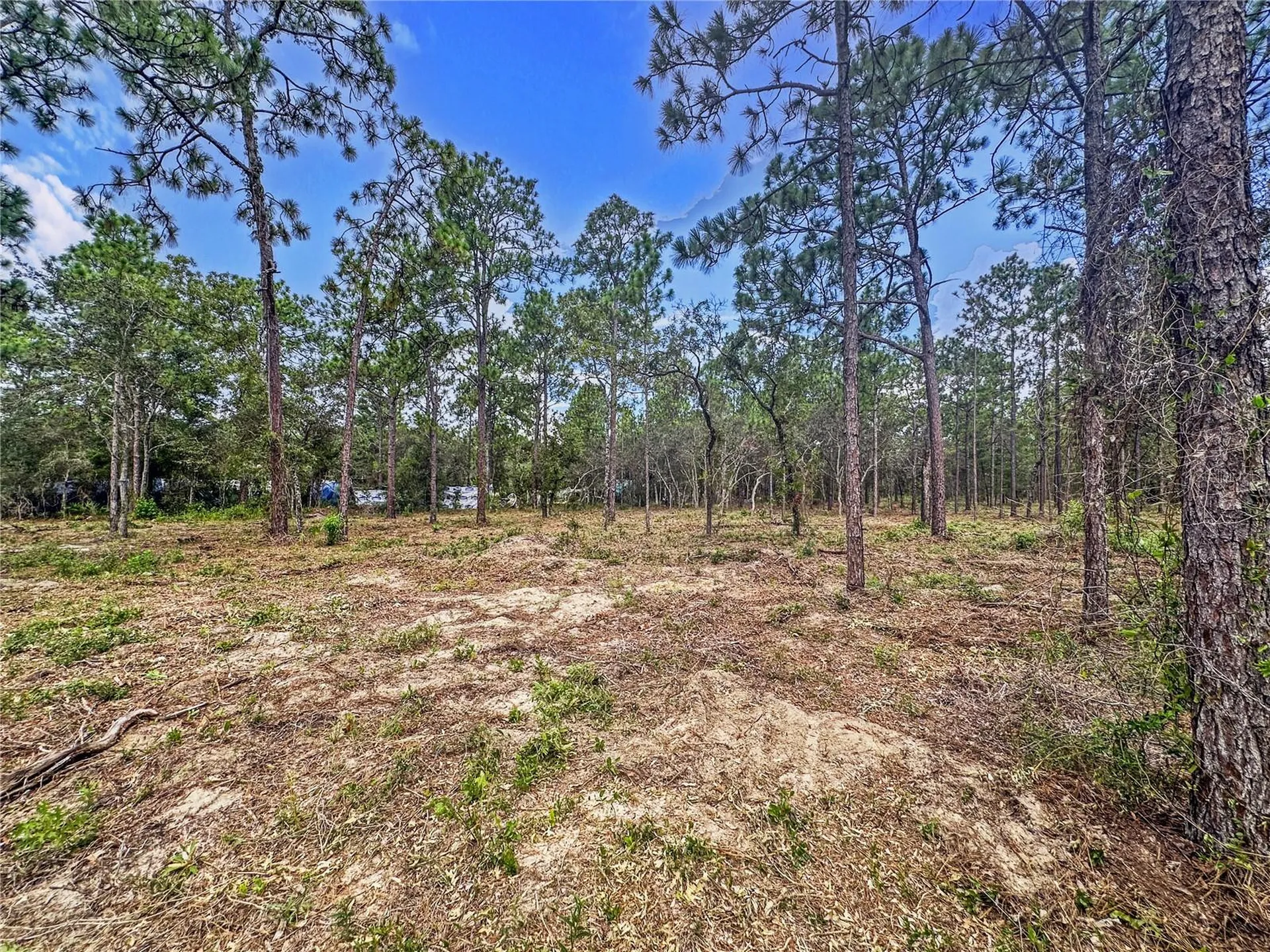 0 Sunshine Grove Road Brooksville FL 34613