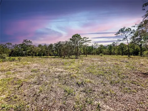 0 Sunshine Grove Road Brooksville FL 34613