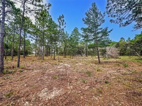 0 Sunshine Grove Road Brooksville FL 34613