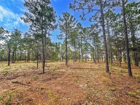0 Sunshine Grove Road Brooksville FL 34613