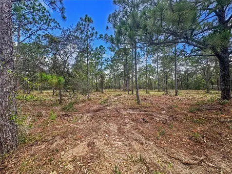 0 Sunshine Grove Road Brooksville FL 34613