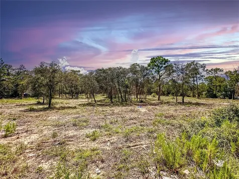 0 Sunshine Grove Road Brooksville FL 34613