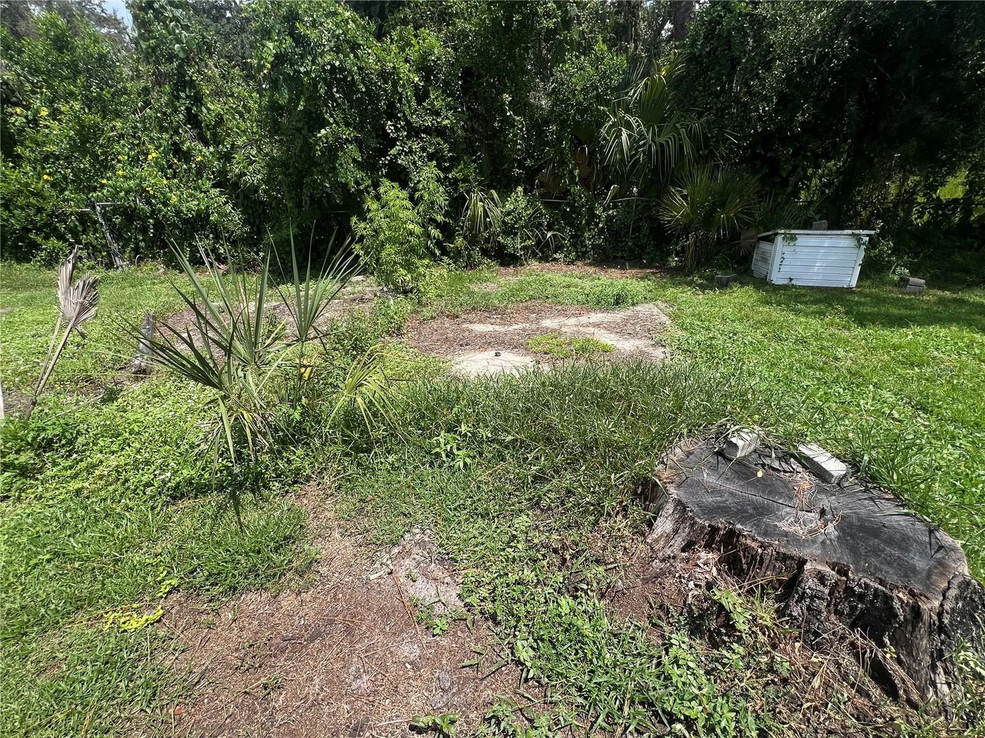 2903 Williams Boulevard Valrico FL 33596