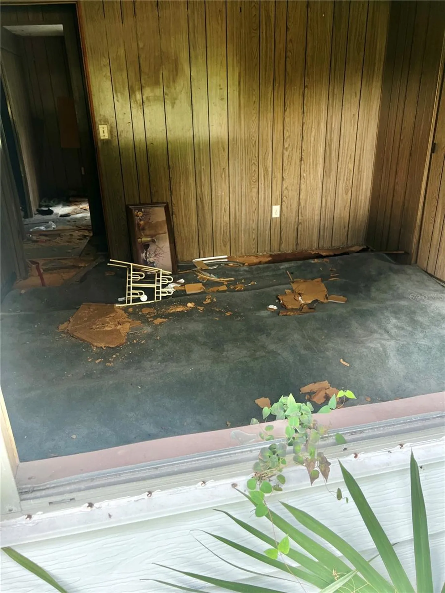 2903 Williams Boulevard Valrico FL 33596
