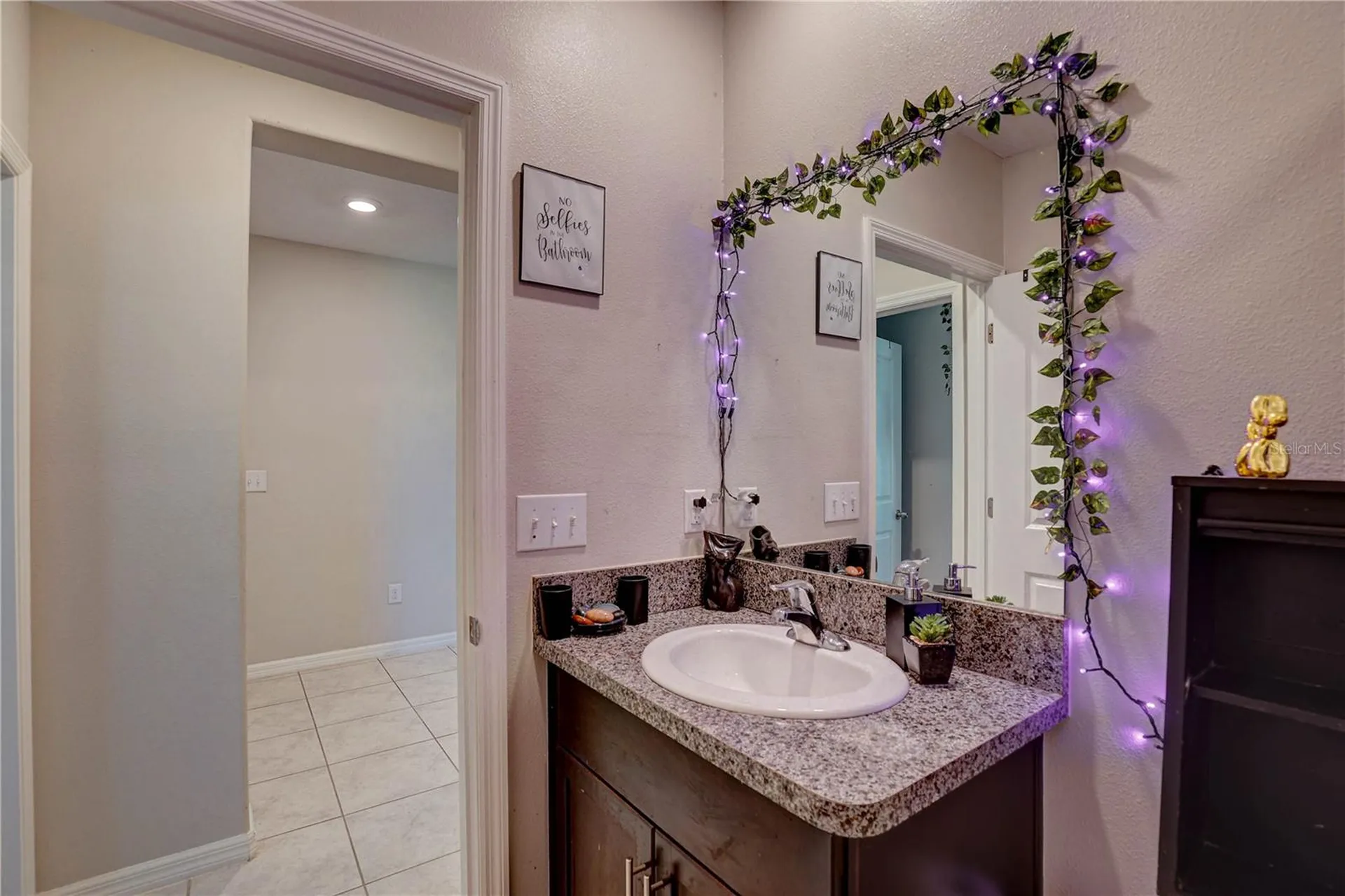 9805 Alysheba Court Sun City Center FL 33573