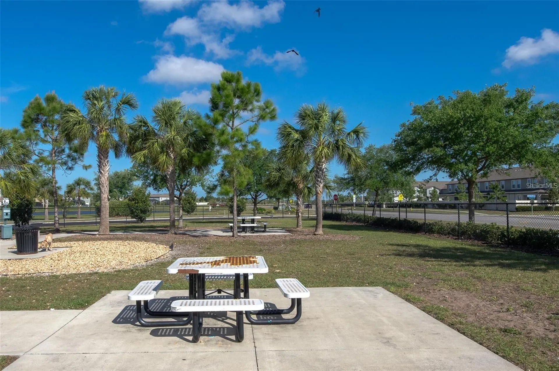 9805 Alysheba Court Sun City Center FL 33573