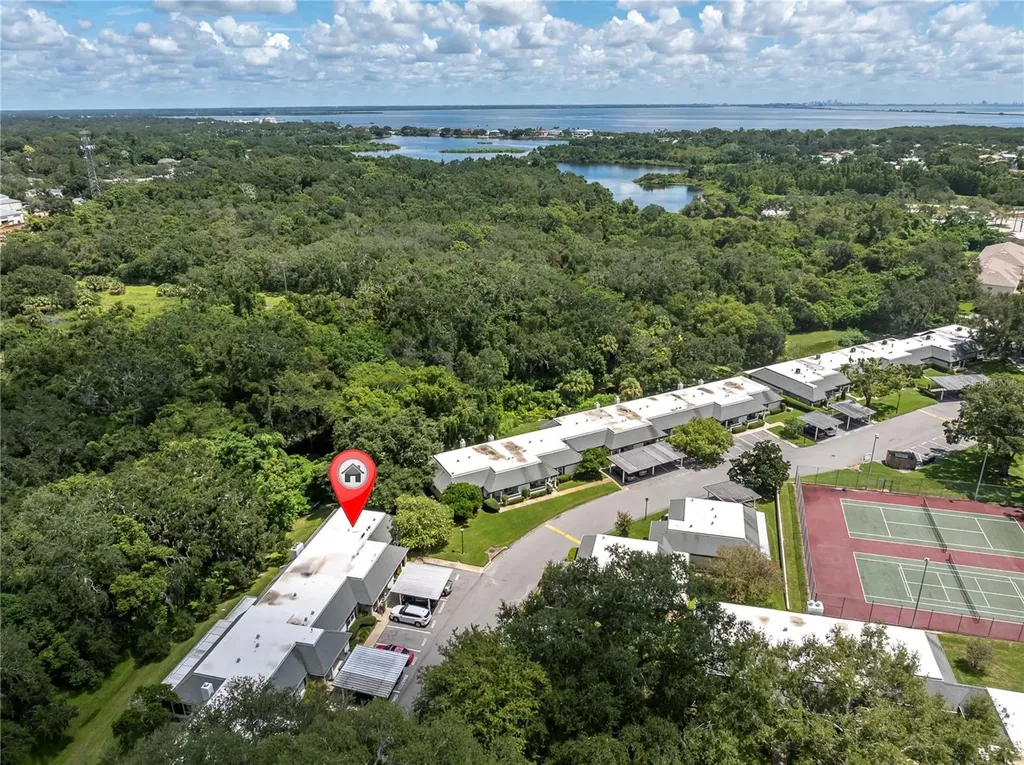 1377 N Mcmullen Booth Road Clearwater FL 33759