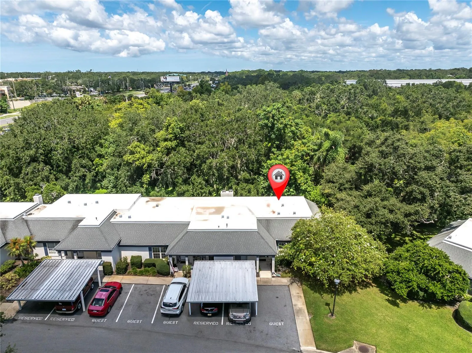 1377 N Mcmullen Booth Road Clearwater FL 33759