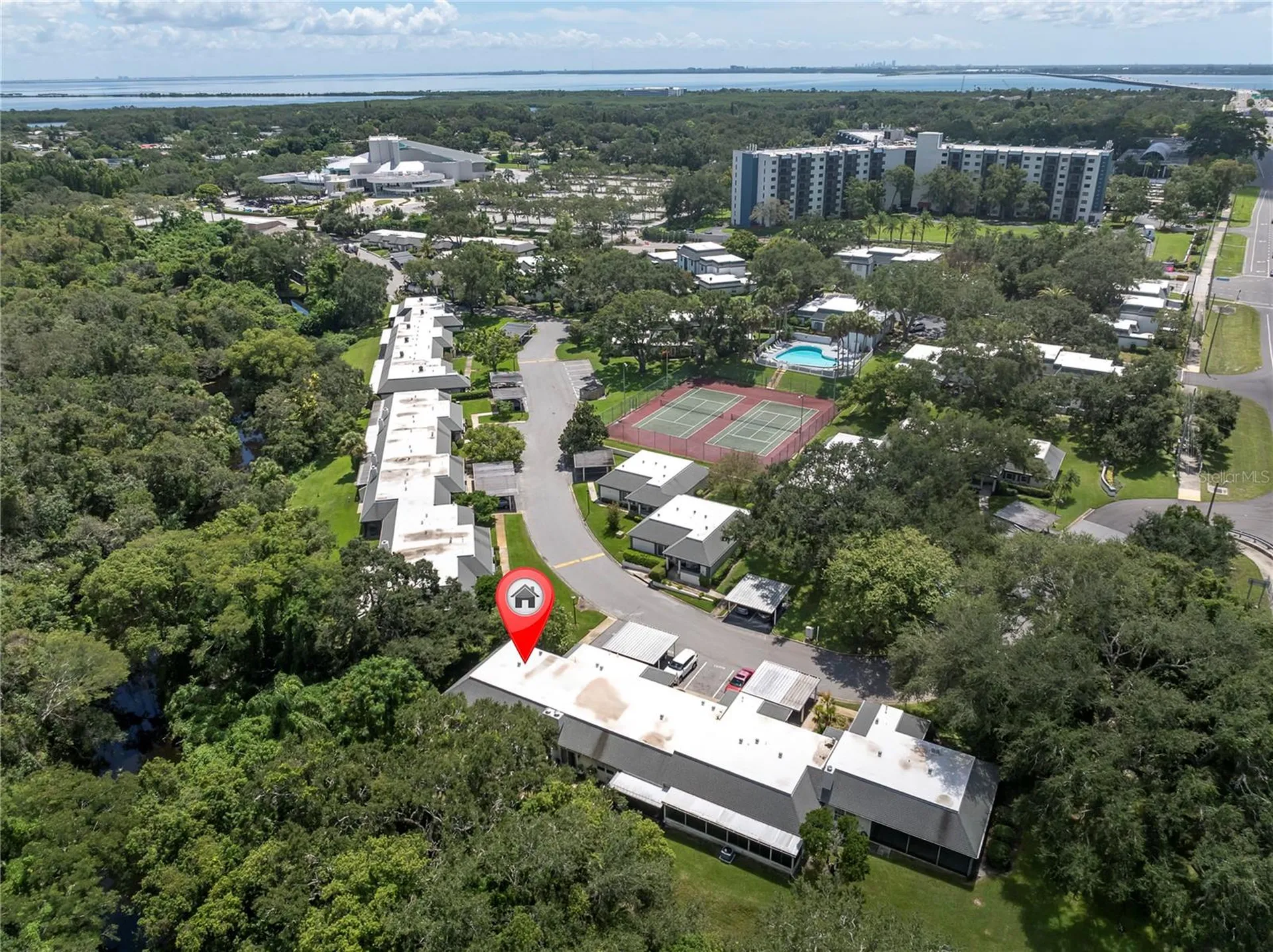 1377 N Mcmullen Booth Road Clearwater FL 33759