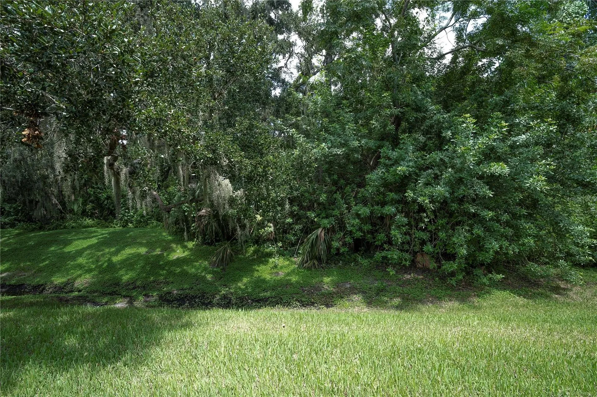 1377 N Mcmullen Booth Road Clearwater FL 33759