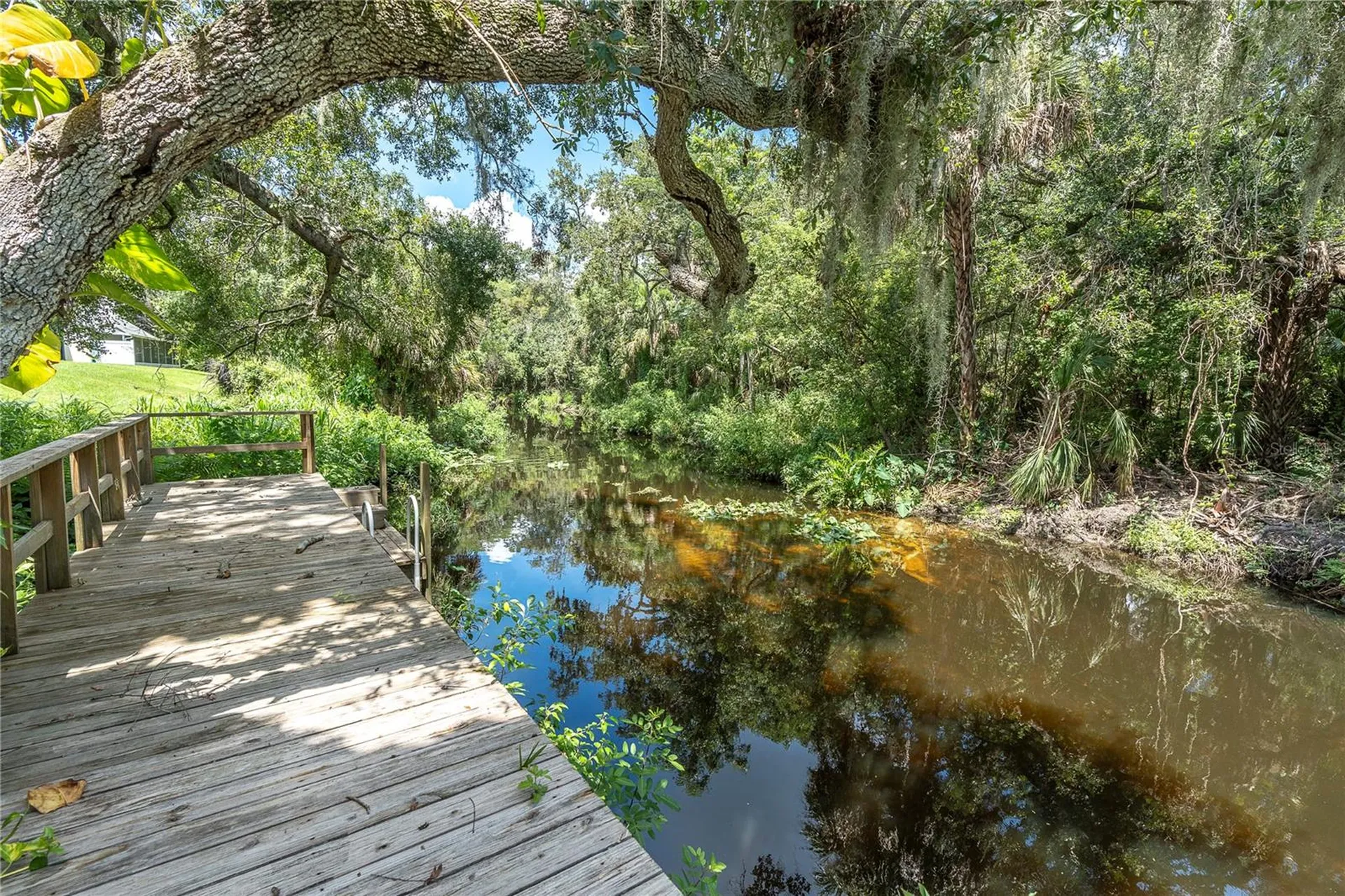 1377 N Mcmullen Booth Road Clearwater FL 33759