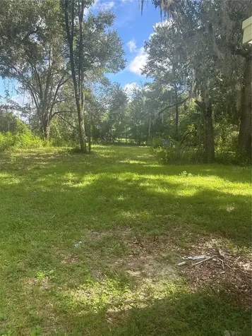 2838 Cr 726 Webster FL 33597
