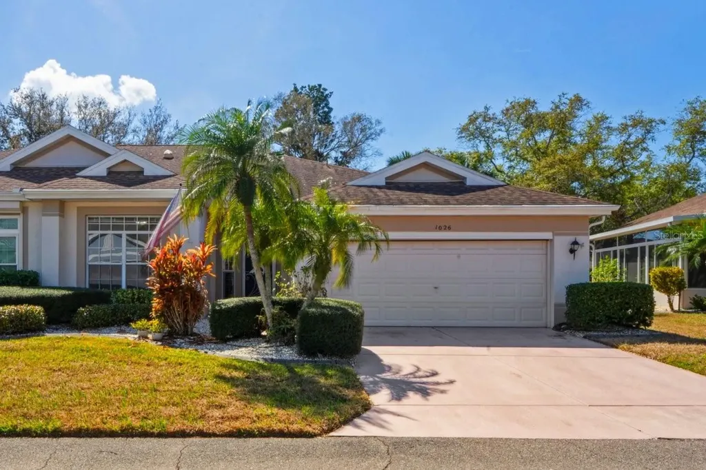 1026 Mcdaniel Street Sun City Center FL 33573