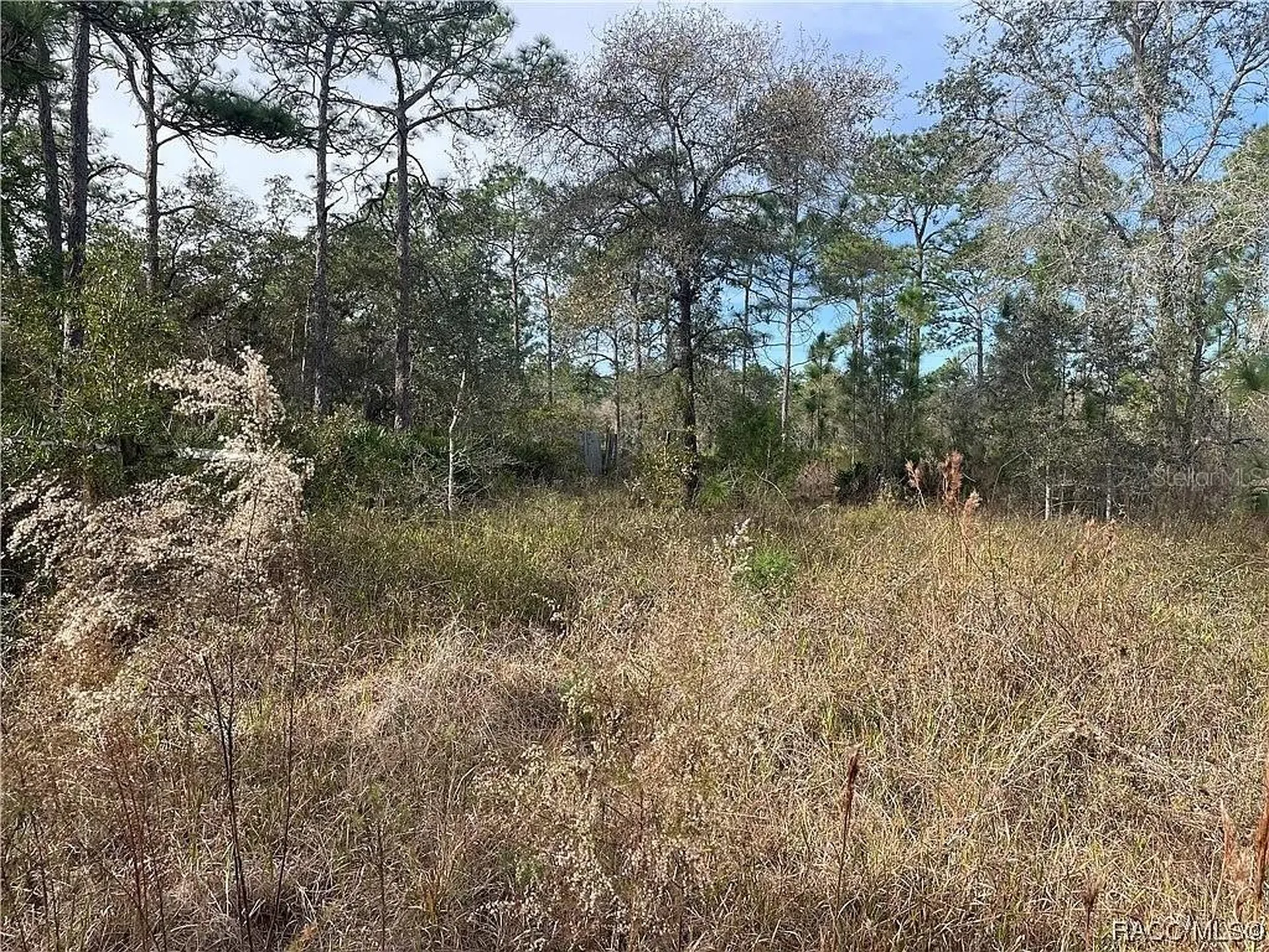 11381 S Rosewater Point Homosassa FL 34446