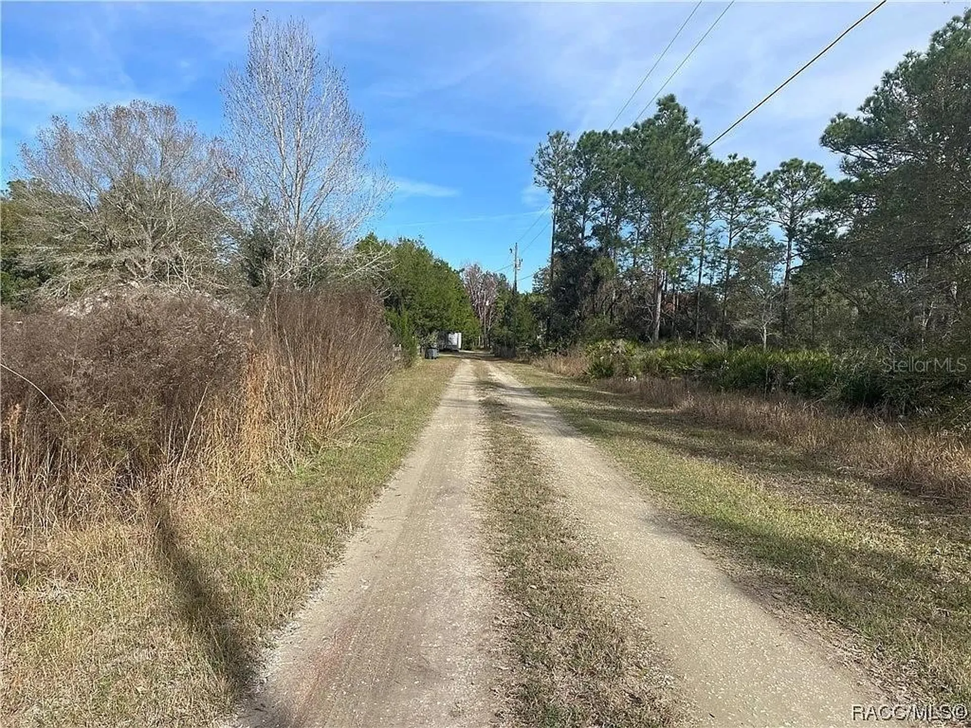 11381 S Rosewater Point Homosassa FL 34446