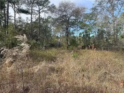 11381 S Rosewater Point Homosassa FL 34446