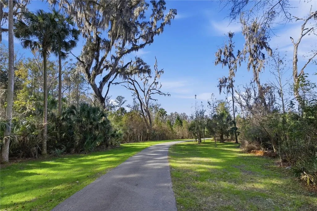 19040 NW 88th Avenue Road Reddick FL 32686
