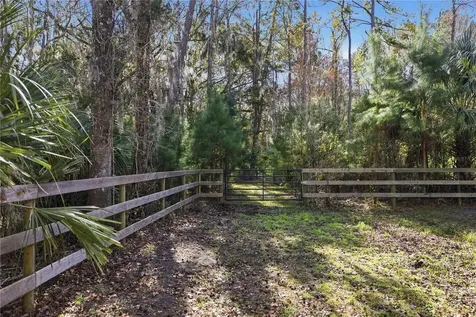 19040 NW 88th Avenue Road Reddick FL 32686