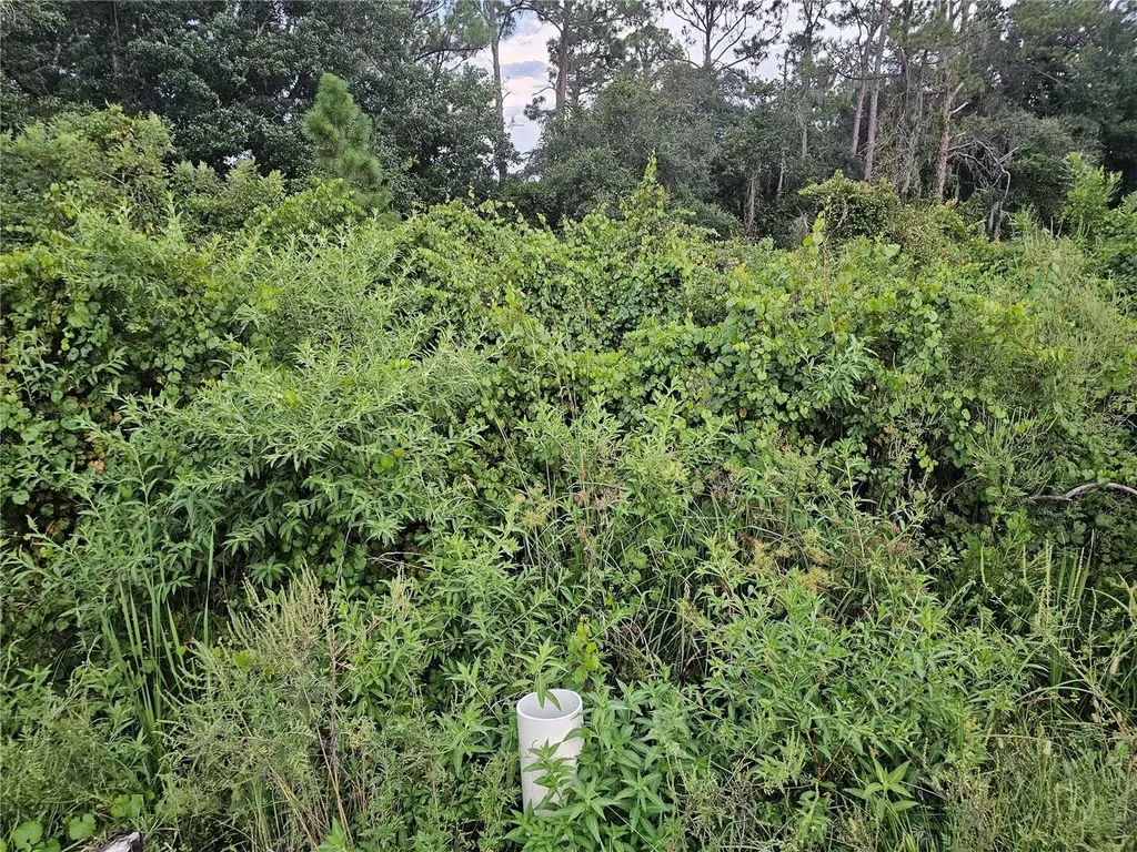 112 Draycott Avenue Lake Placid FL 33852