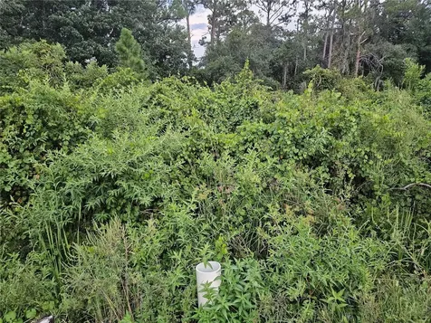 112 Draycott Avenue Lake Placid FL 33852
