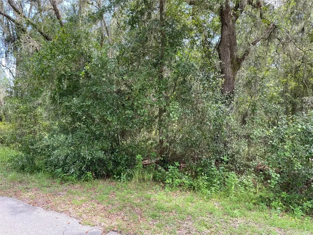 Lots 13 & 14 SW Shorewood Drive Dunnellon FL 34431