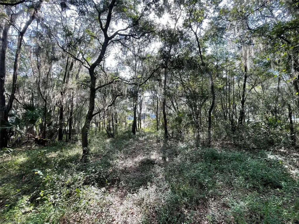 Lots 13 & 14 SW Shorewood Drive Dunnellon FL 34431