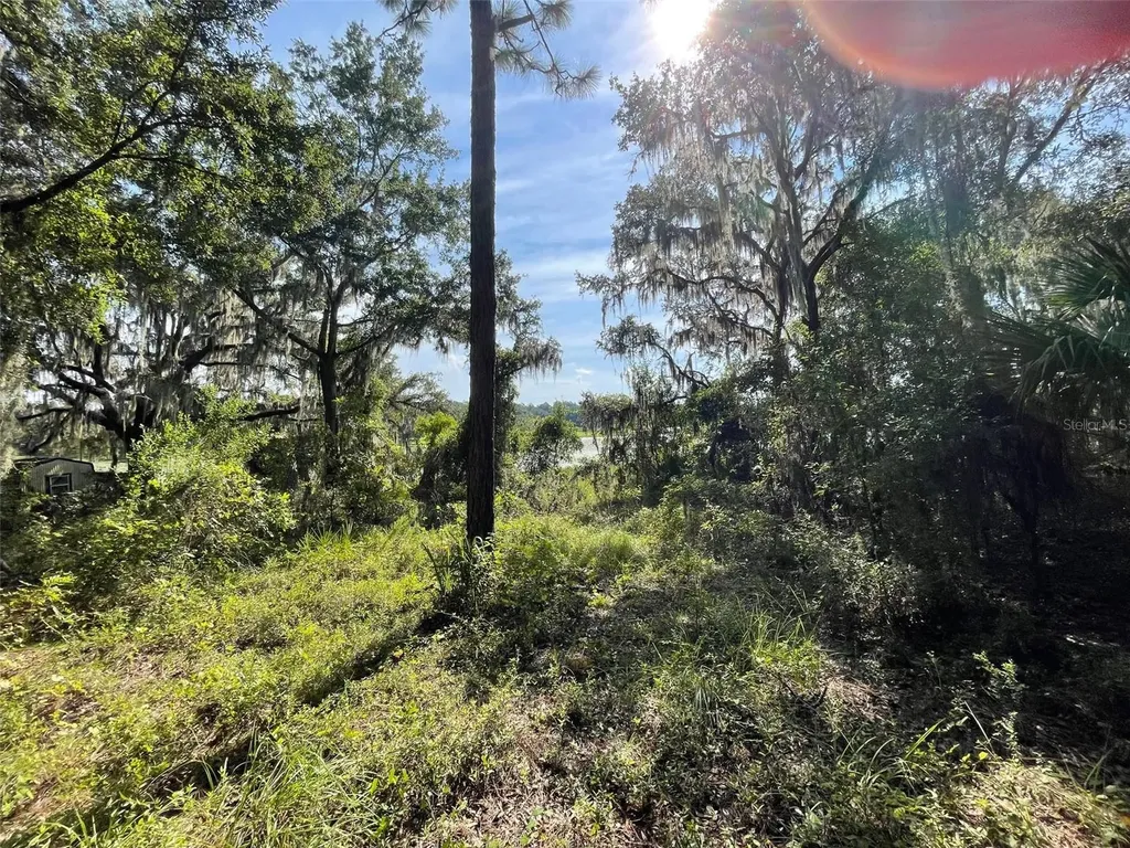 Lots 13 & 14 SW Shorewood Drive Dunnellon FL 34431