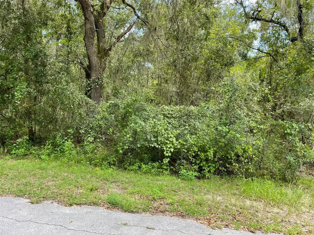 Lots 13 & 14 SW Shorewood Drive Dunnellon FL 34431