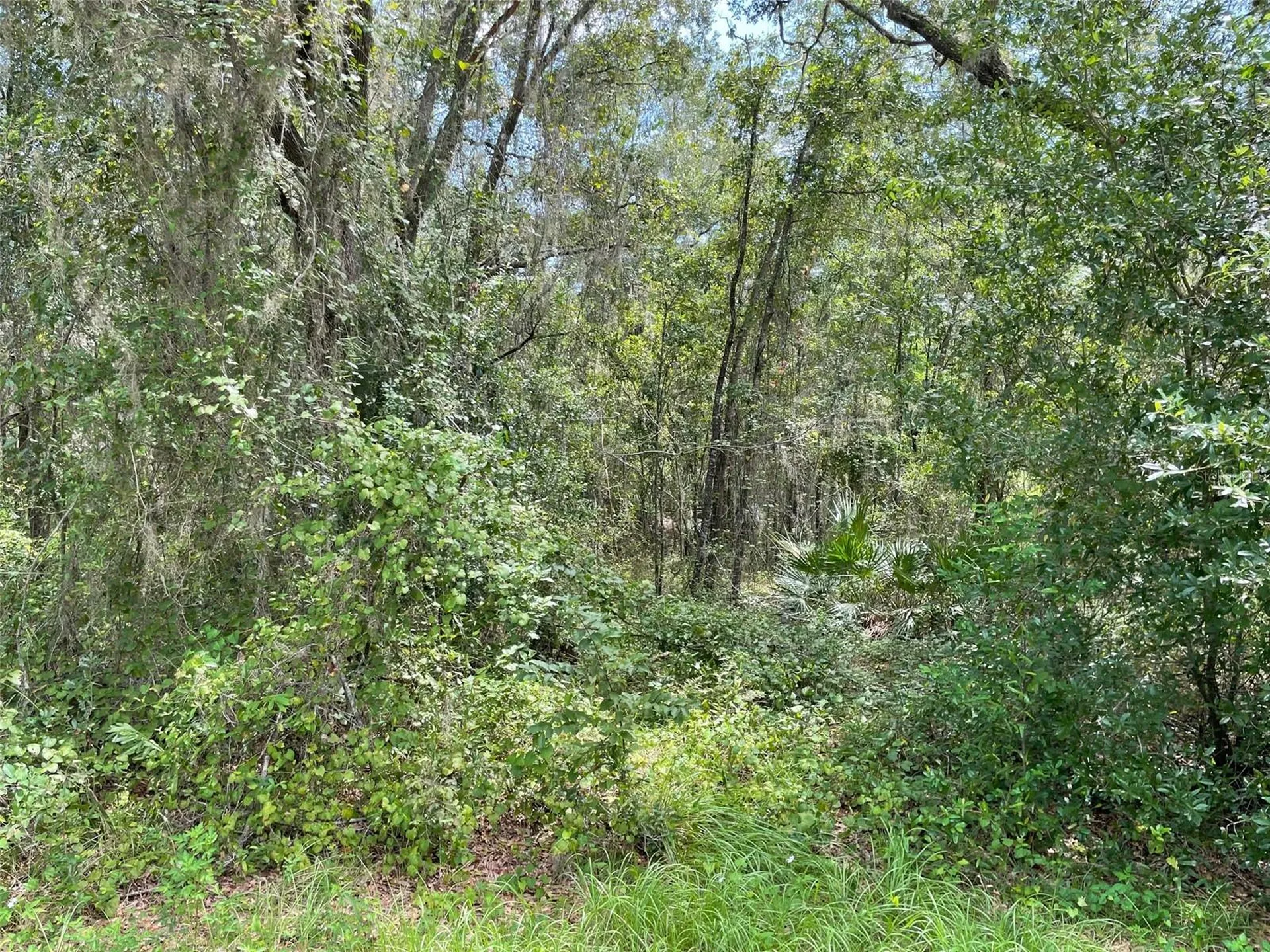 Lots 13 & 14 SW Shorewood Drive Dunnellon FL 34431