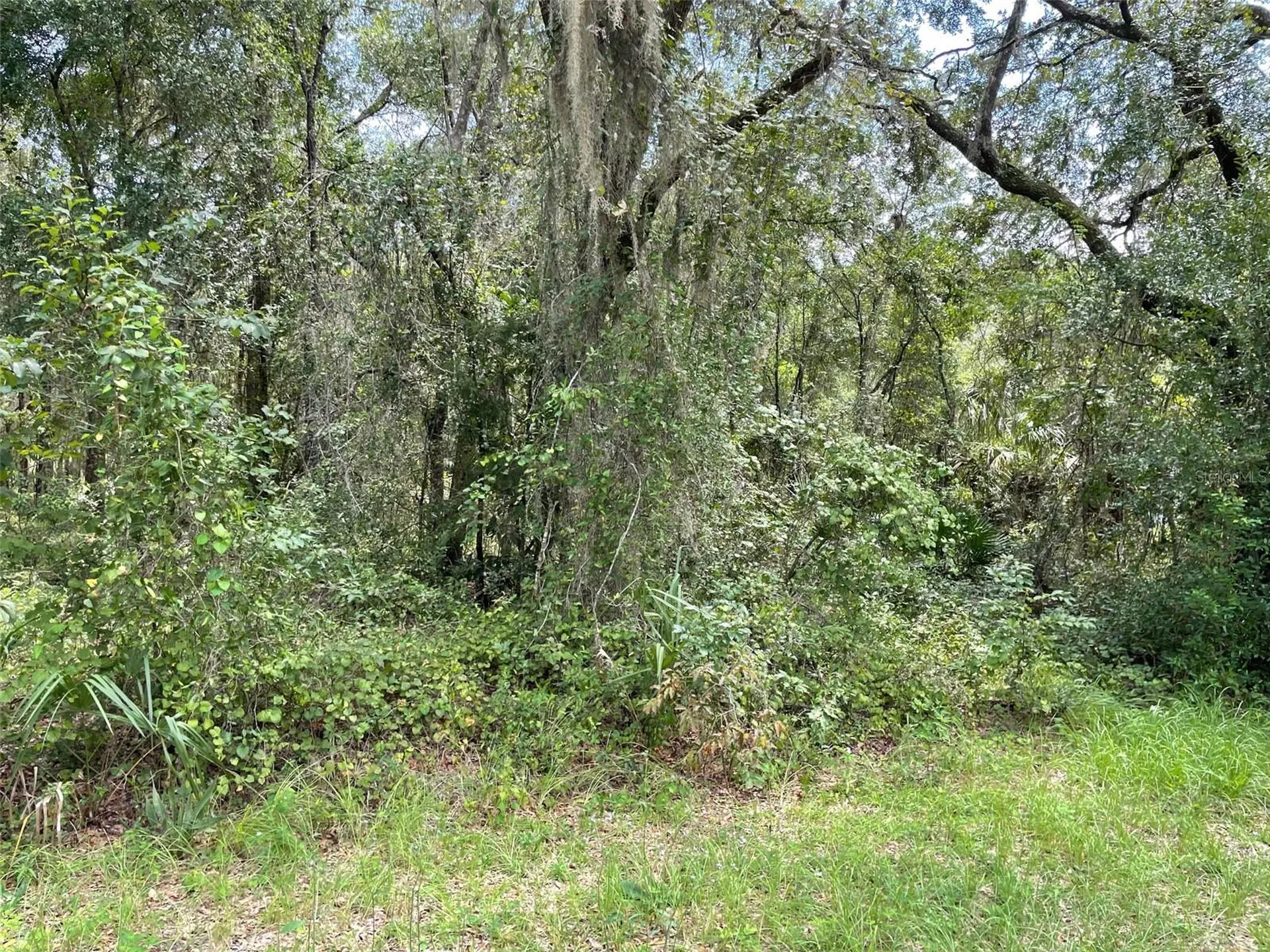 Lots 13 & 14 SW Shorewood Drive Dunnellon FL 34431