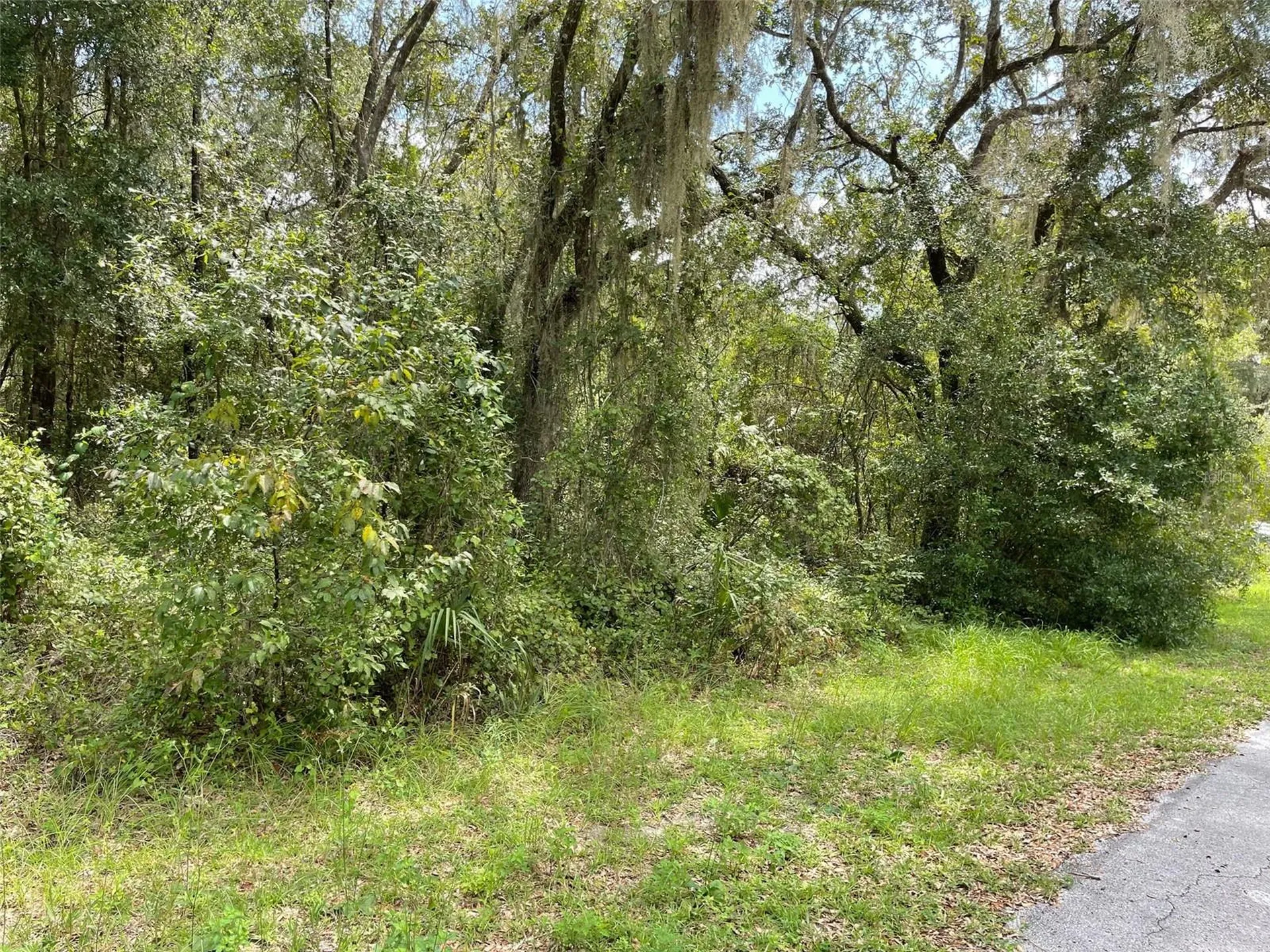 Lots 13 & 14 SW Shorewood Drive Dunnellon FL 34431